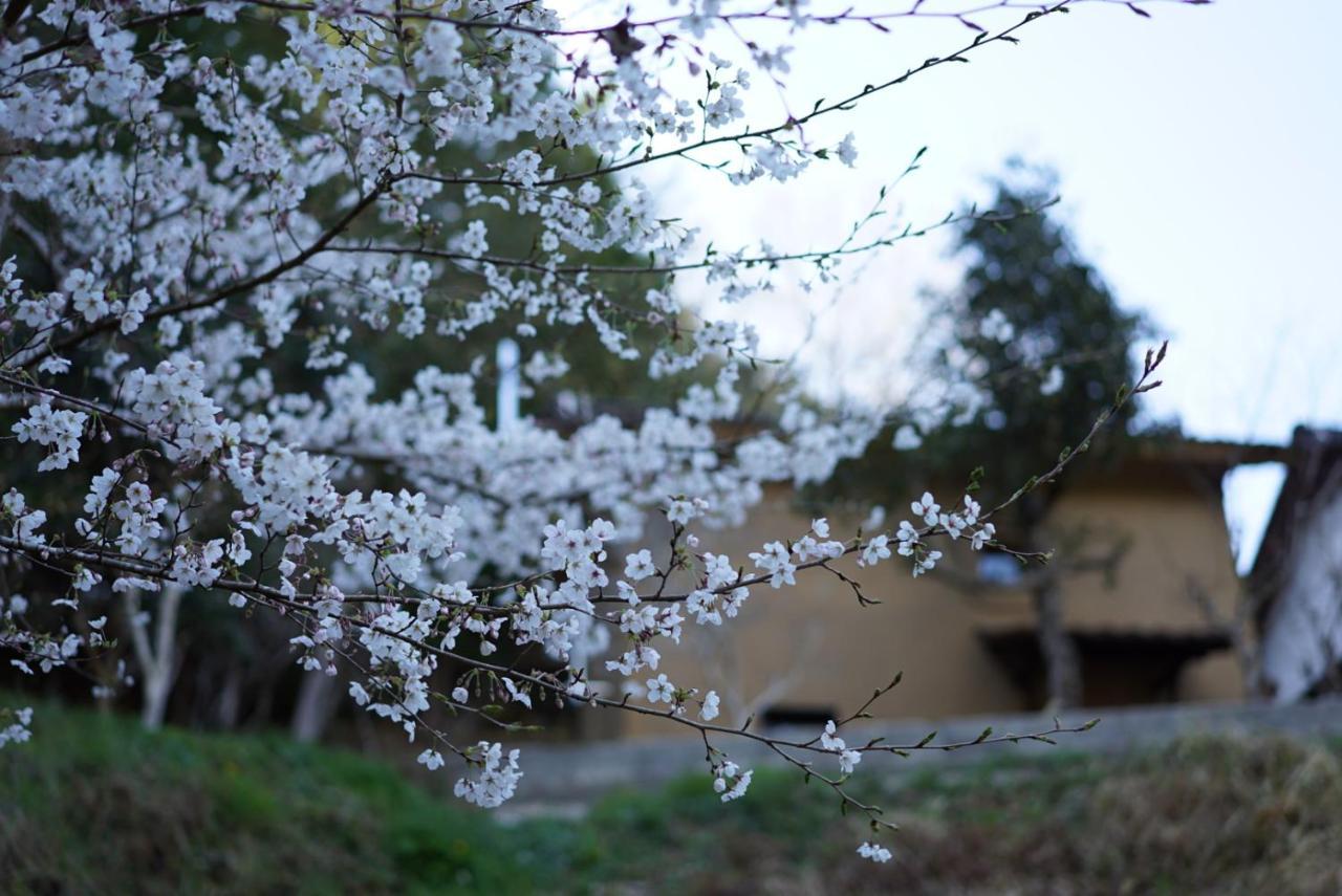Oldbutnew 蔵 Apartman Hara  Kültér fotó